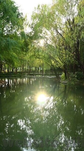 腾讯炸金花手游叫什么-腾讯炸金花手游，欢乐斗地主的激情碰撞